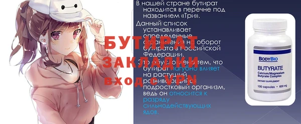 индика Бородино