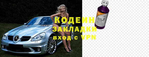 индика Бородино