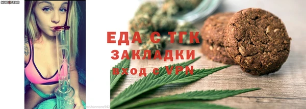 индика Бородино