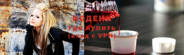 индика Бородино
