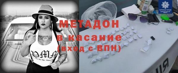 индика Бородино