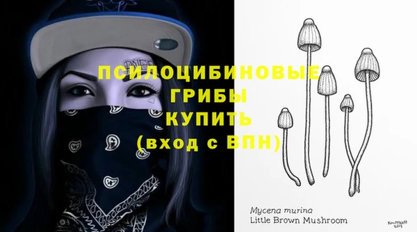 PSILOCYBIN Бронницы