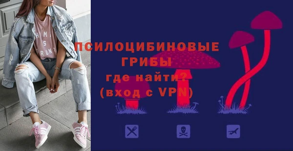 индика Бородино