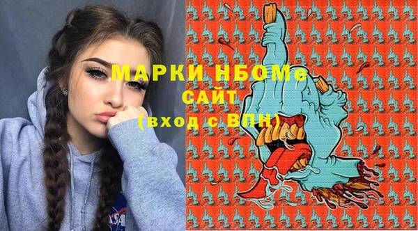 индика Бородино