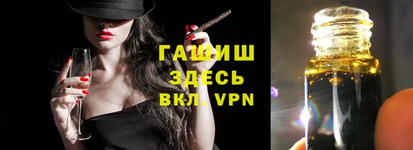 индика Бородино