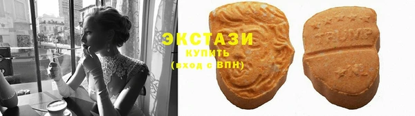 индика Бородино