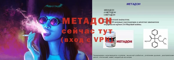 индика Бородино