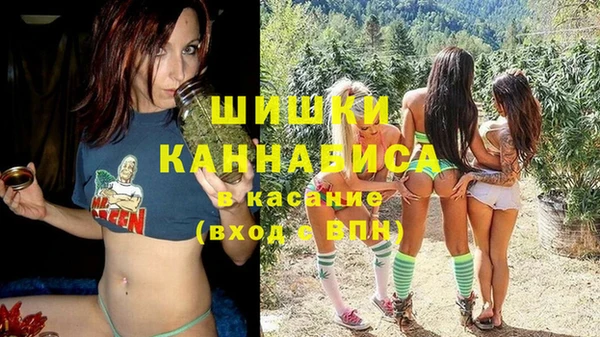 индика Бородино