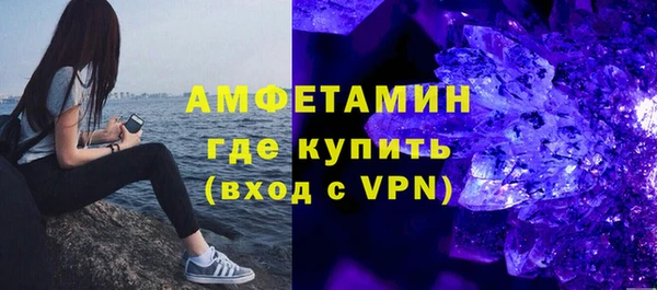 индика Бородино
