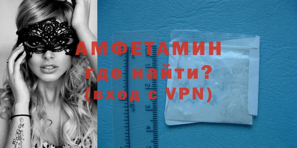 индика Бородино