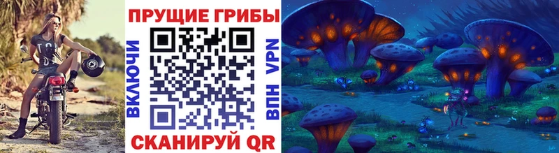mega зеркало Чебоксары Галлюциногенные грибы мухоморы